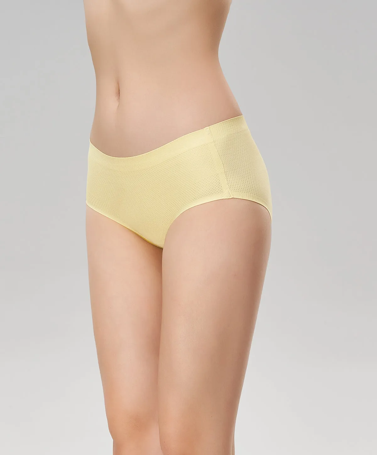 Absolute Seam Free Boxshorts Panty 509-6447