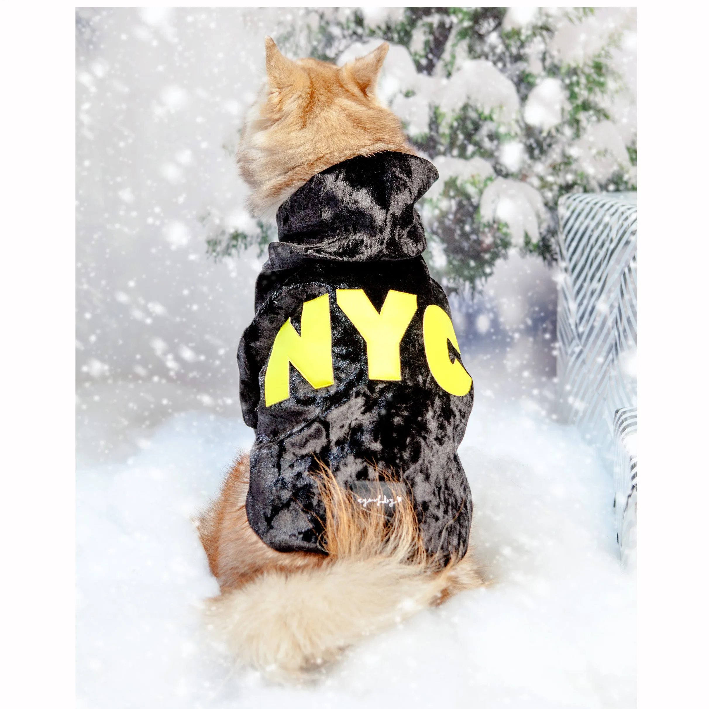 Black Velvet NYC Hoodie (DOG & CO. Exclusive) (FINAL SALE) (FINAL SALE)
