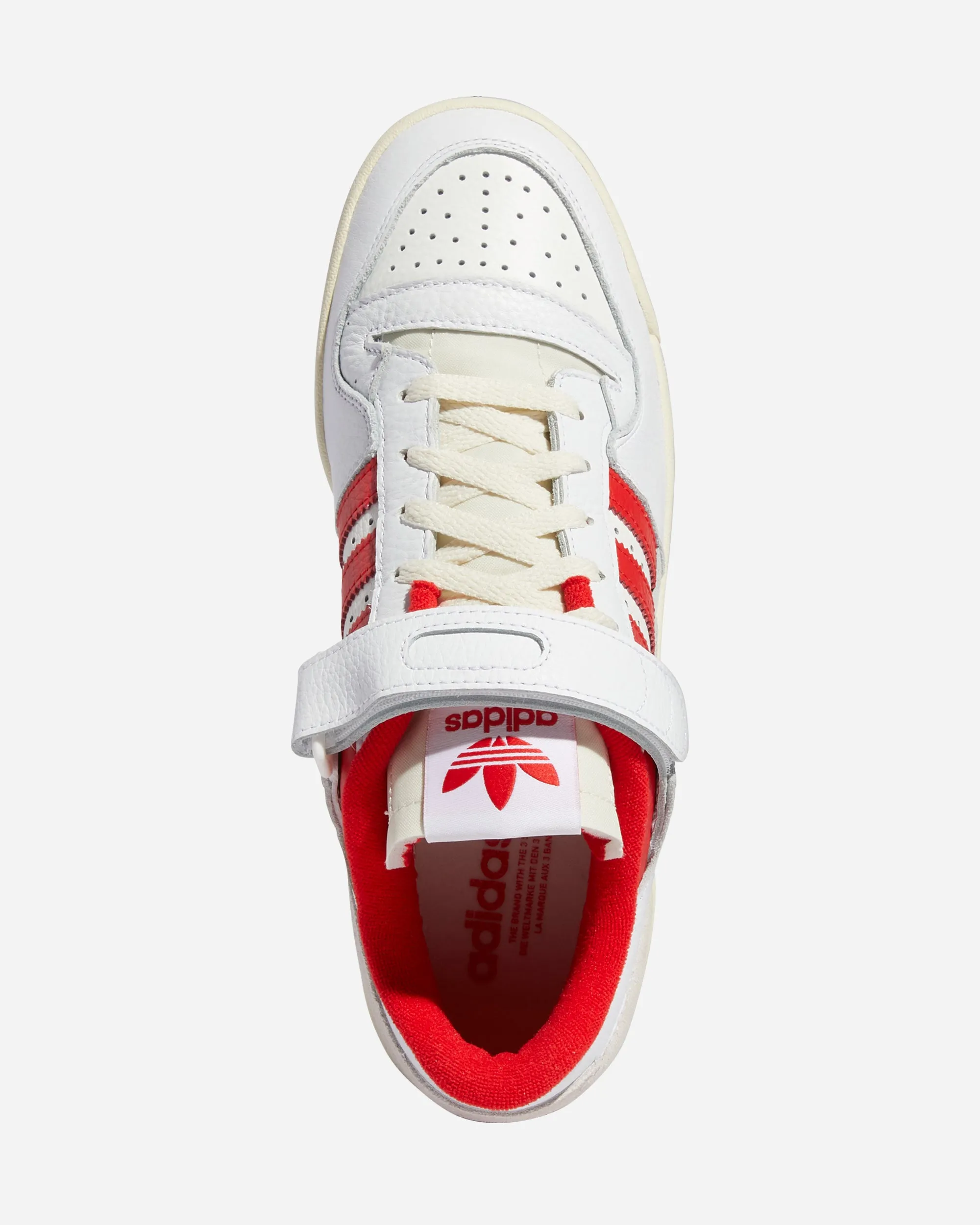 Forum 84 Low