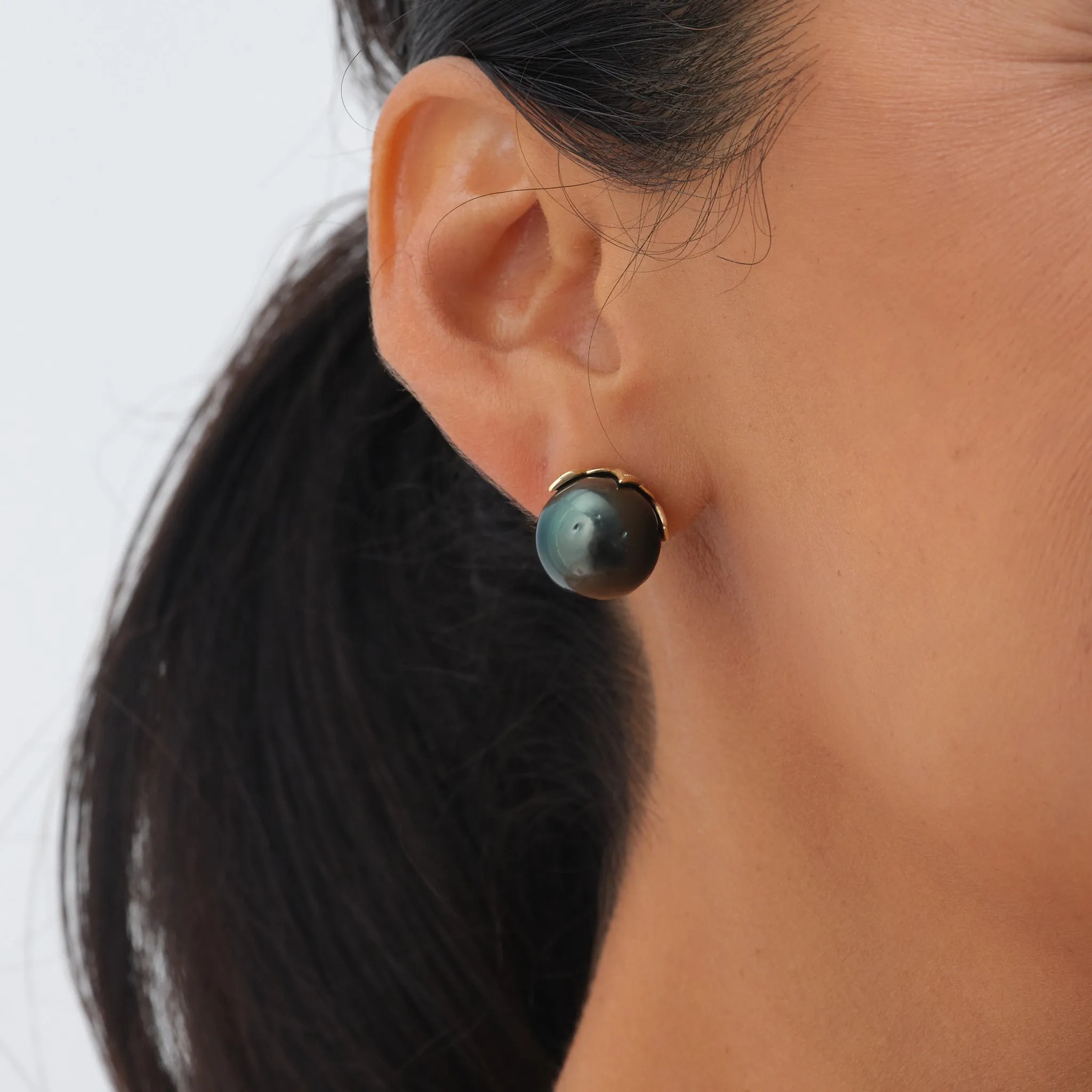 Hawaiian Heirloom Maile Leaf Tahitian Black Pearl Earrings in Gold  - 13-14mm
